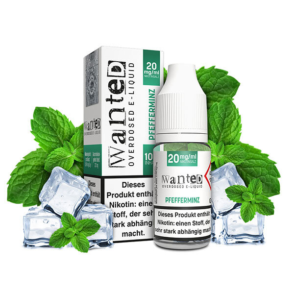 Wanted Pfefferminz NicSalt 10ml Liquid 20mg