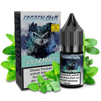 Frozen OWL Spearmint Nikotinsalz Liquid 10mg