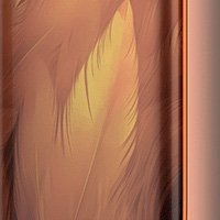 Orange Feathers