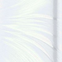 Plume White